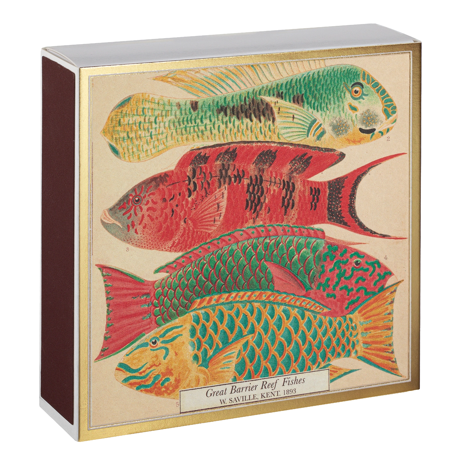 Fish Matches