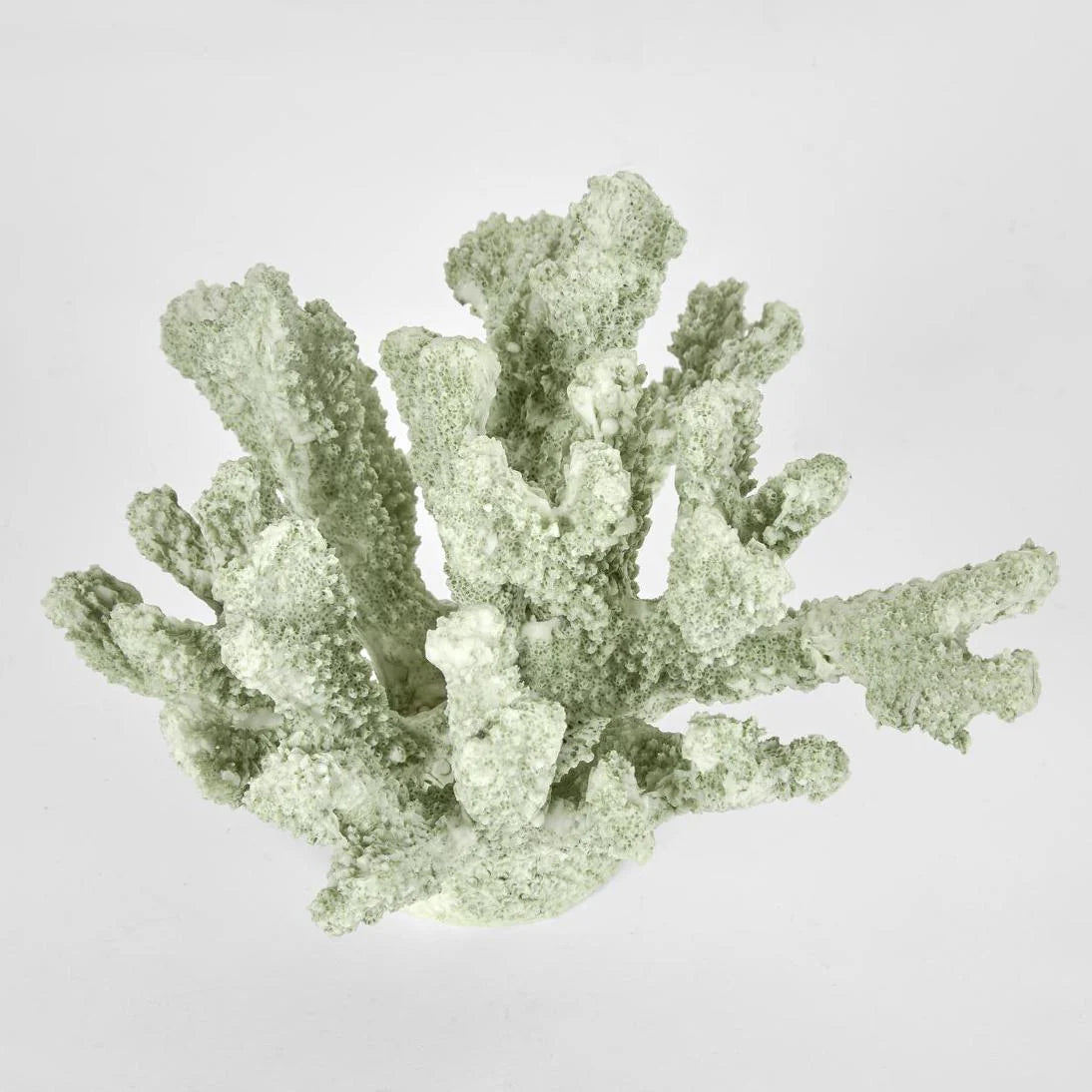 Marly Green Coral