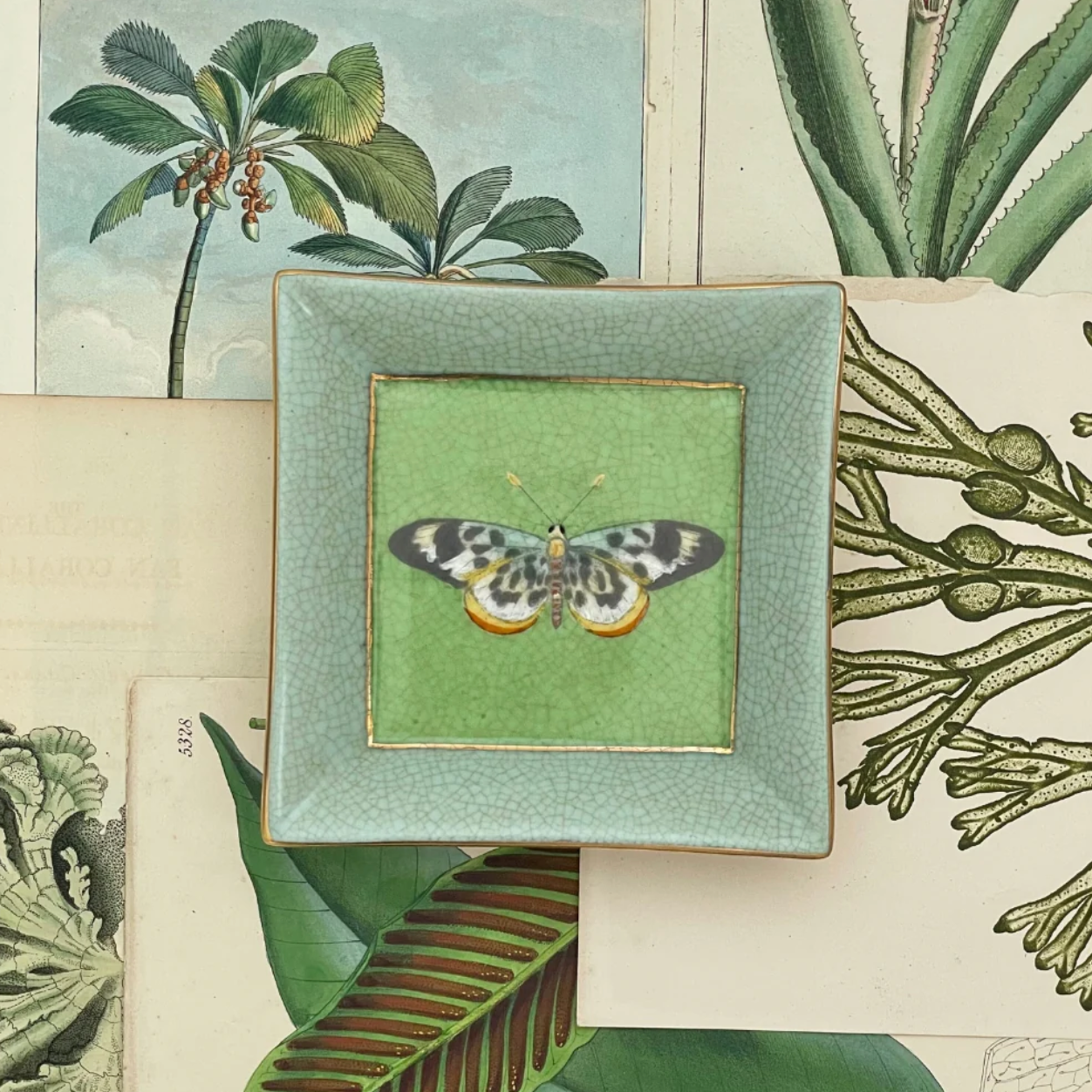 Exotico Wall Plate Mariposa - Creatively Active Minds