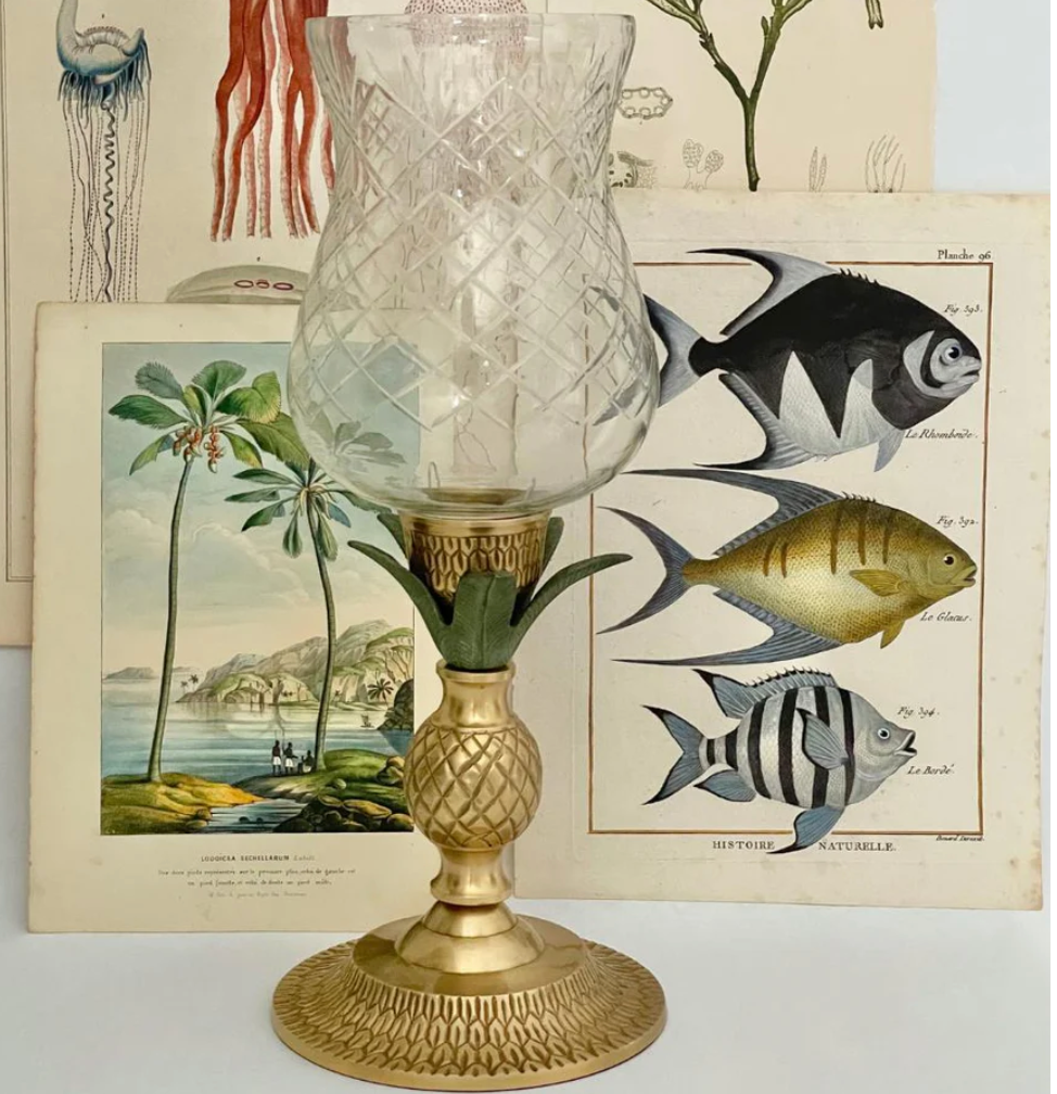 Exotico Glass Hurricane Candle Holder - Creatively Active Minds