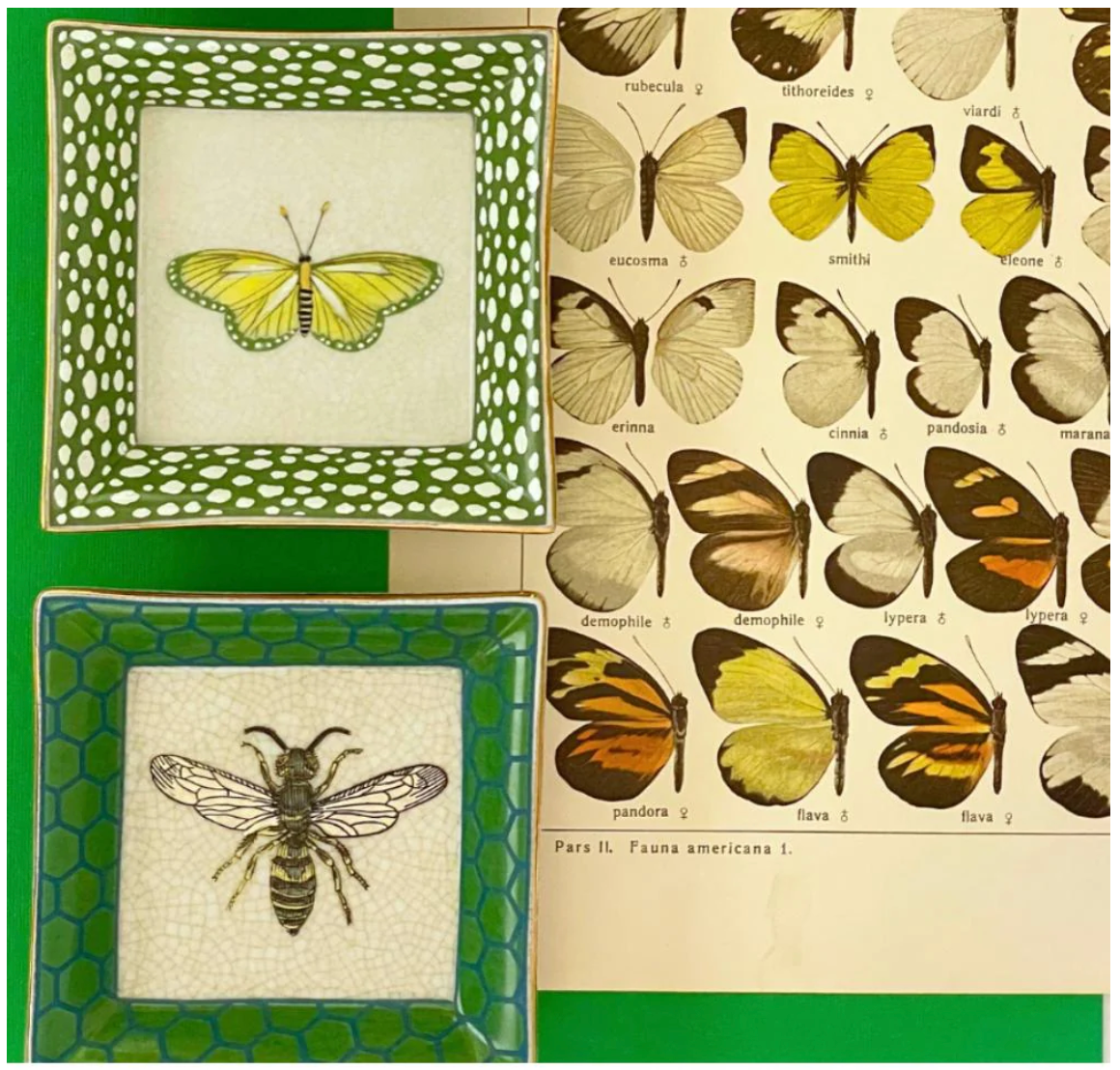 Exotico Wall Plate Mariposa - Creatively Active Minds