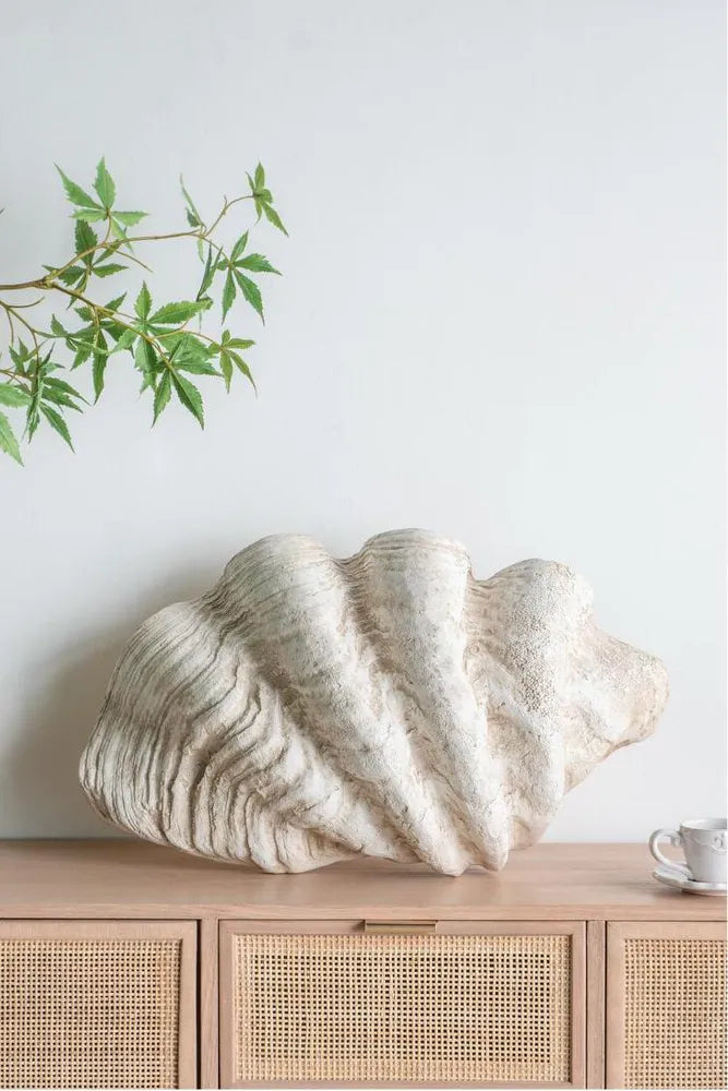 Giant Clam Sculpture Natural