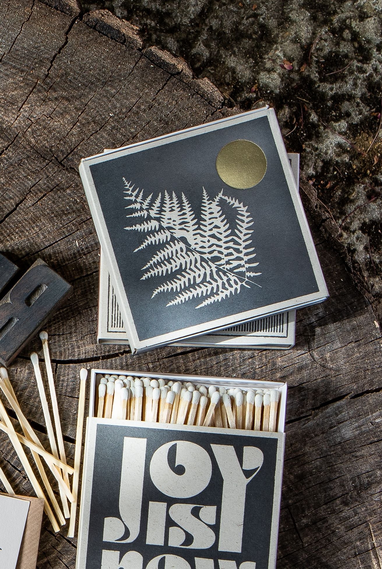 Fern Matches