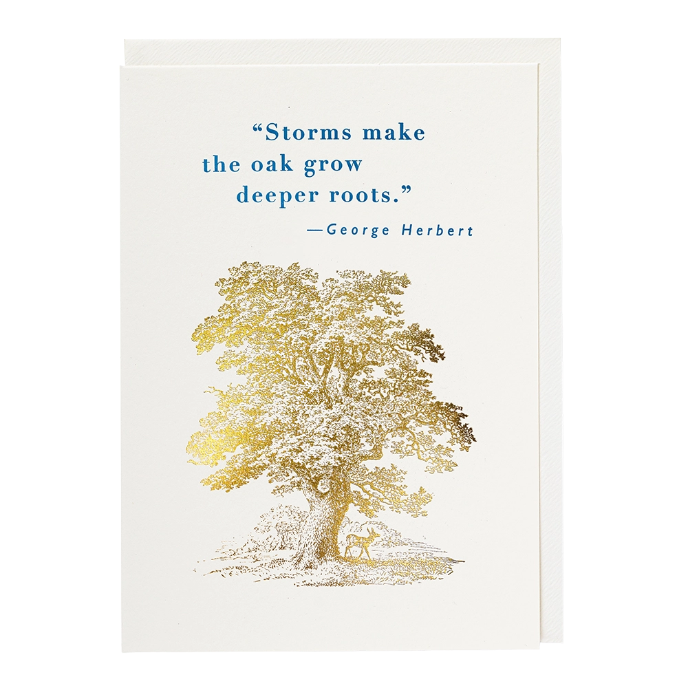 Deeper Roots