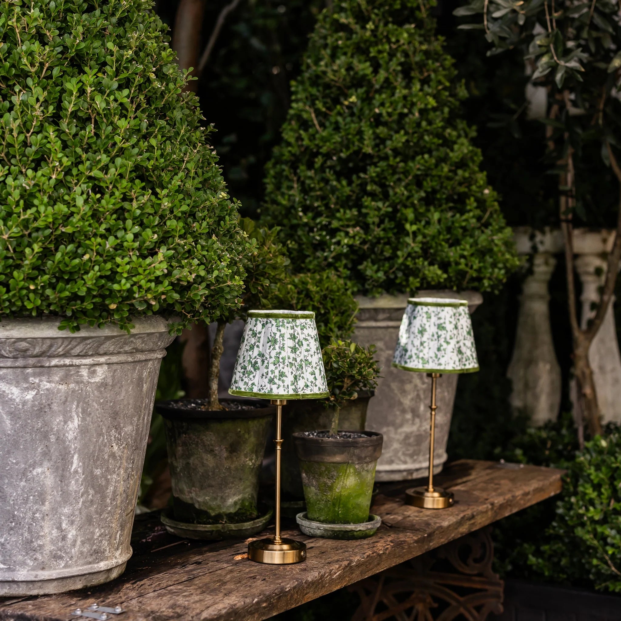 Ivy Scallop Shade USB Table Lamp