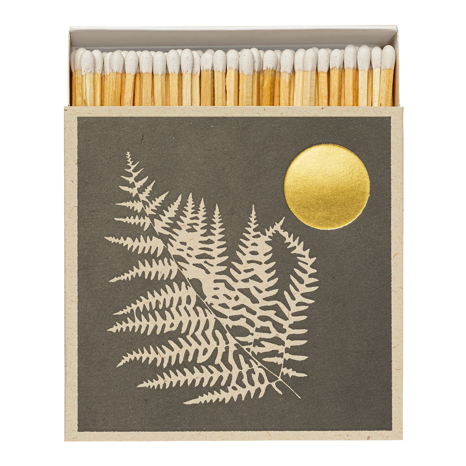 Fern Matches