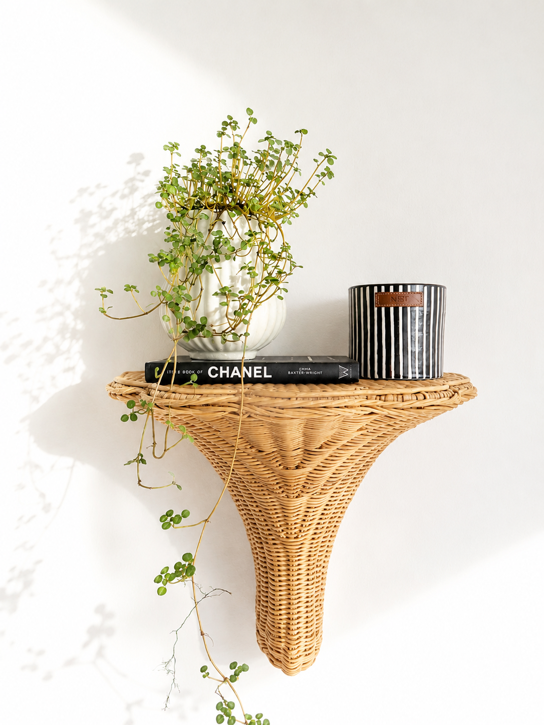 Zari Planter Pots - Various Size