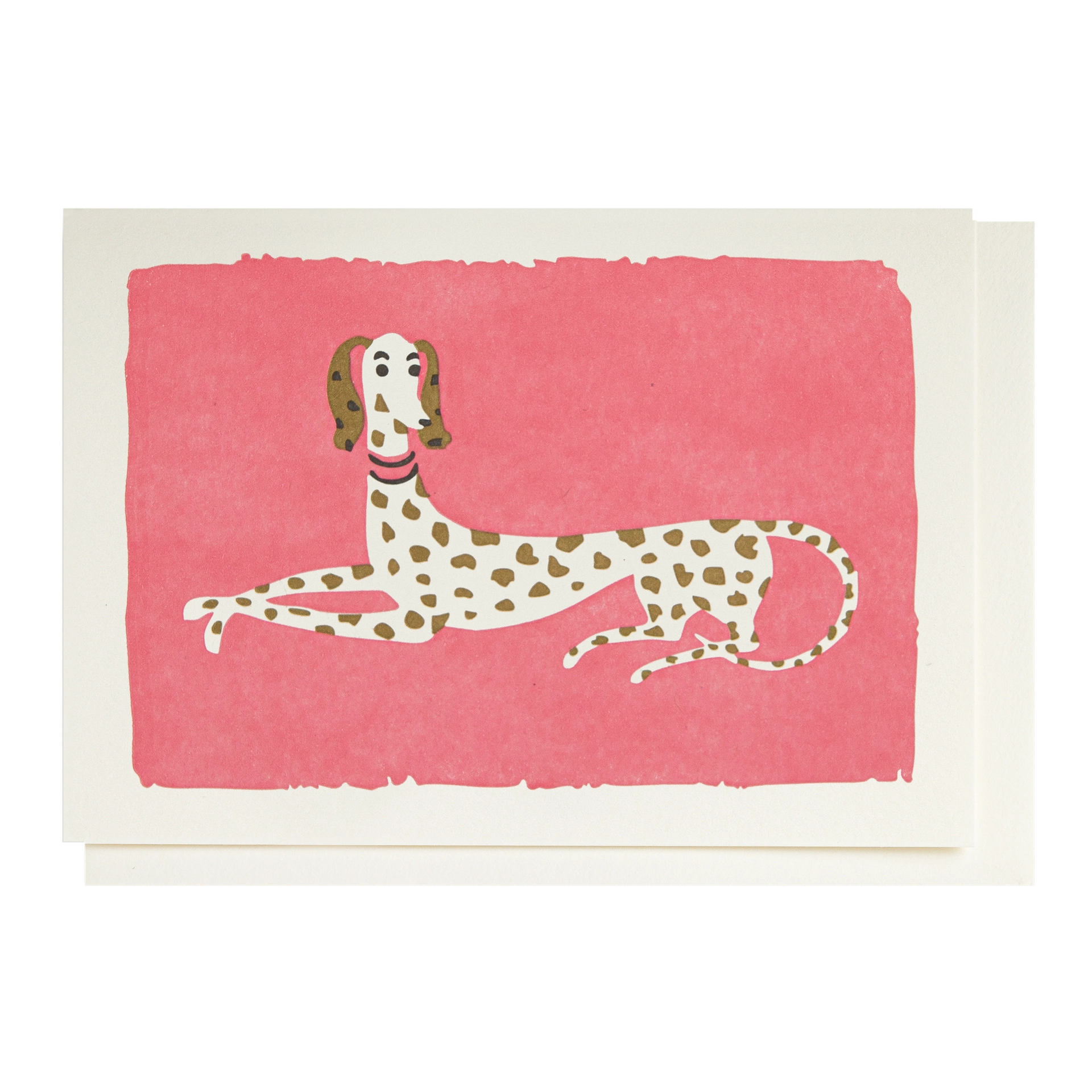 Spotty Dog