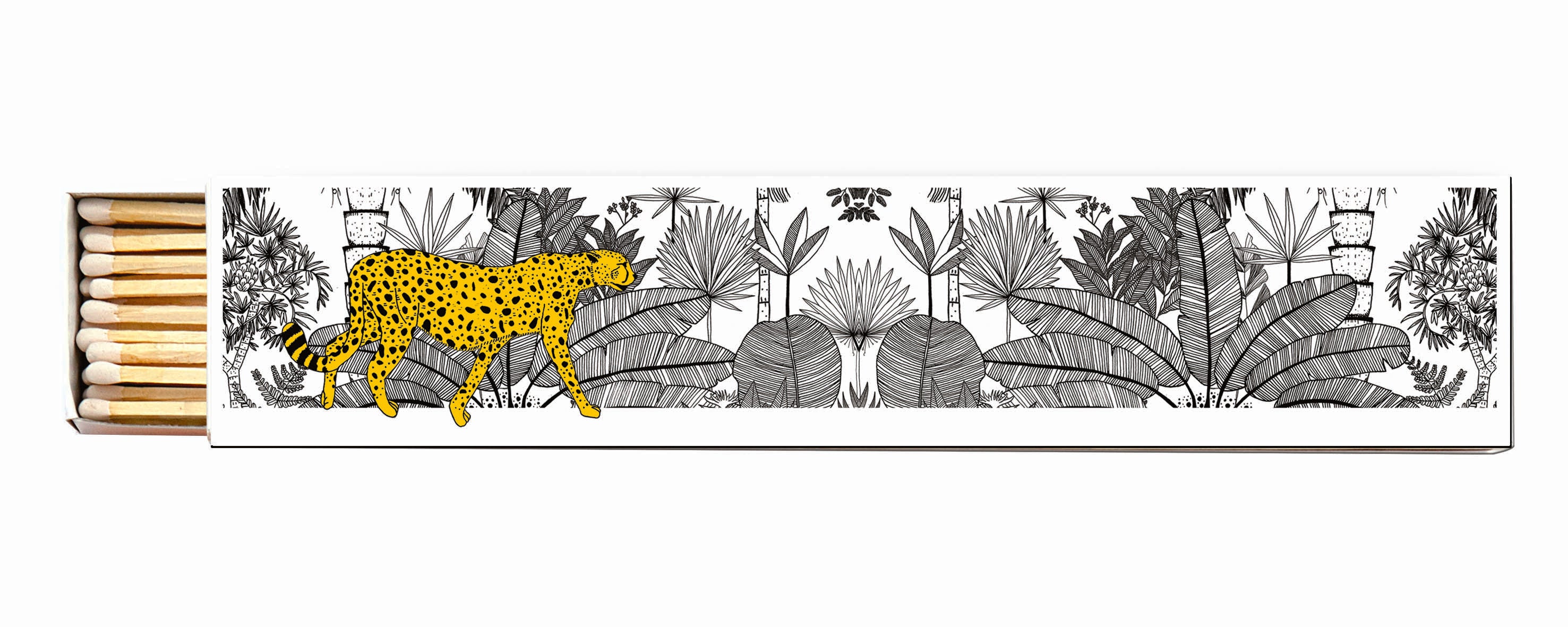 Cheetah in White Jungle