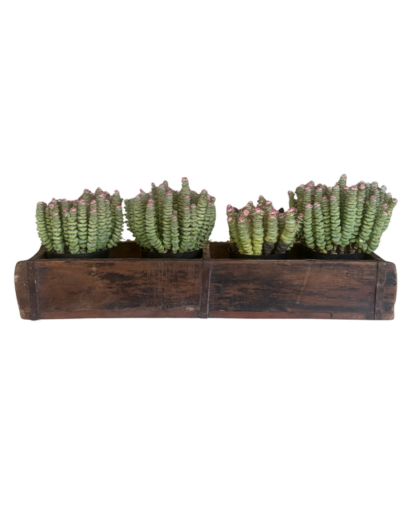Wooden Double Brick Mould