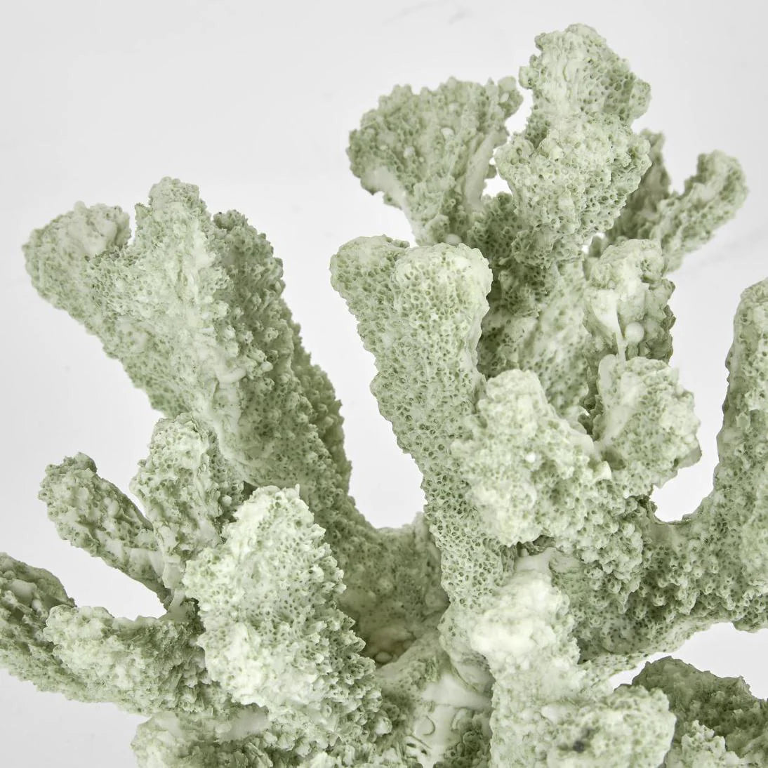 Marly Green Coral