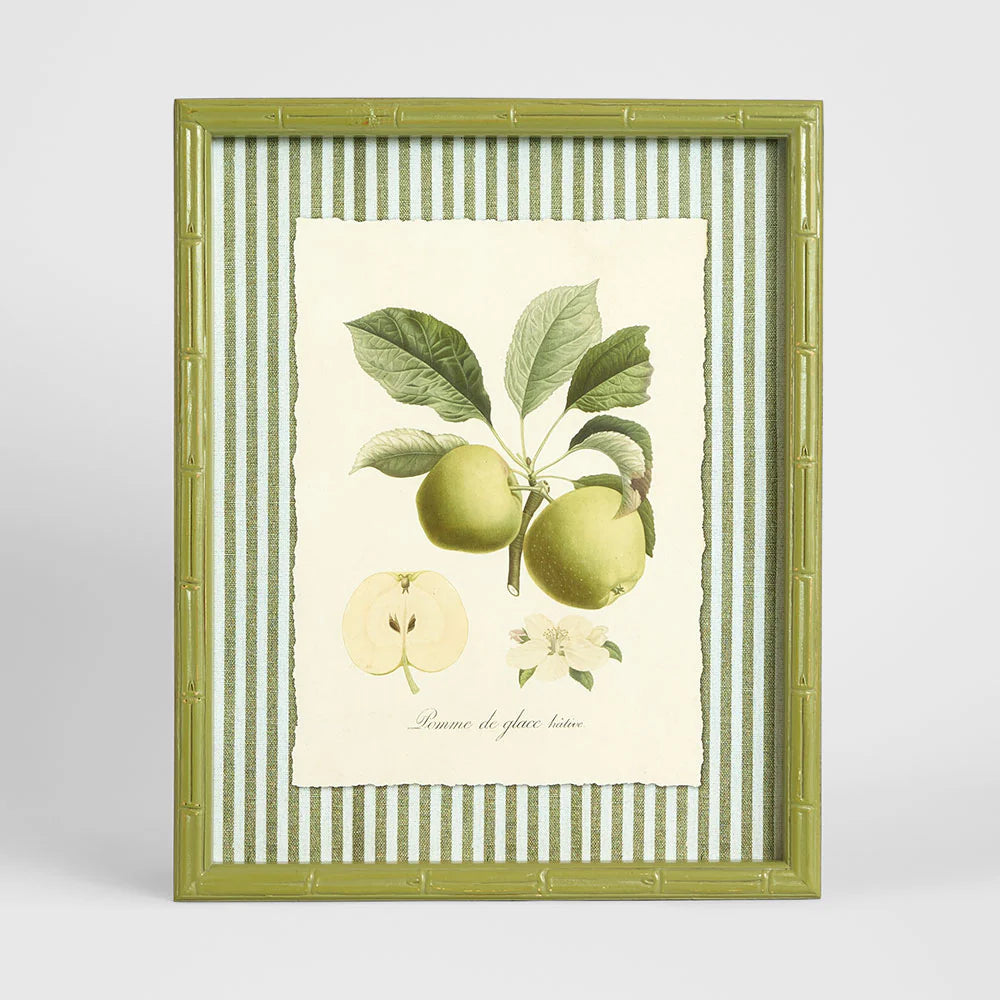 Apple Study 1 Wall Art