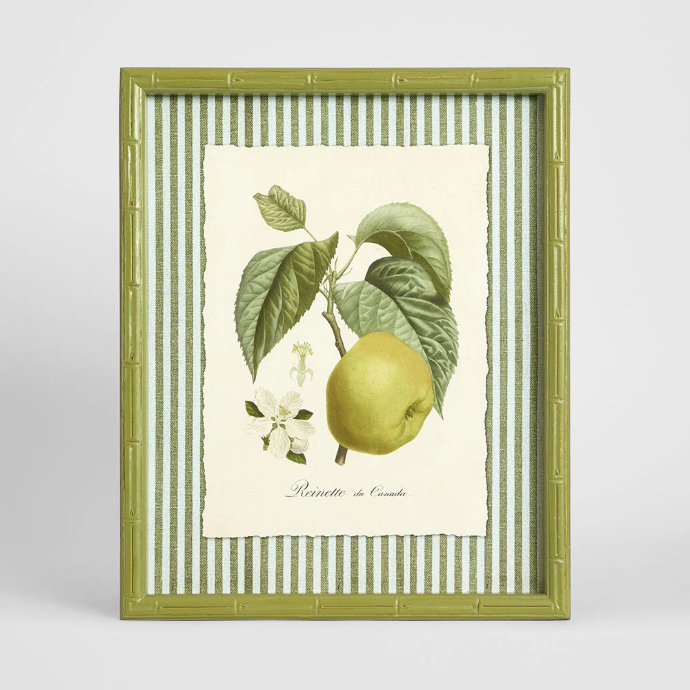Apple Study 2 Wall Art