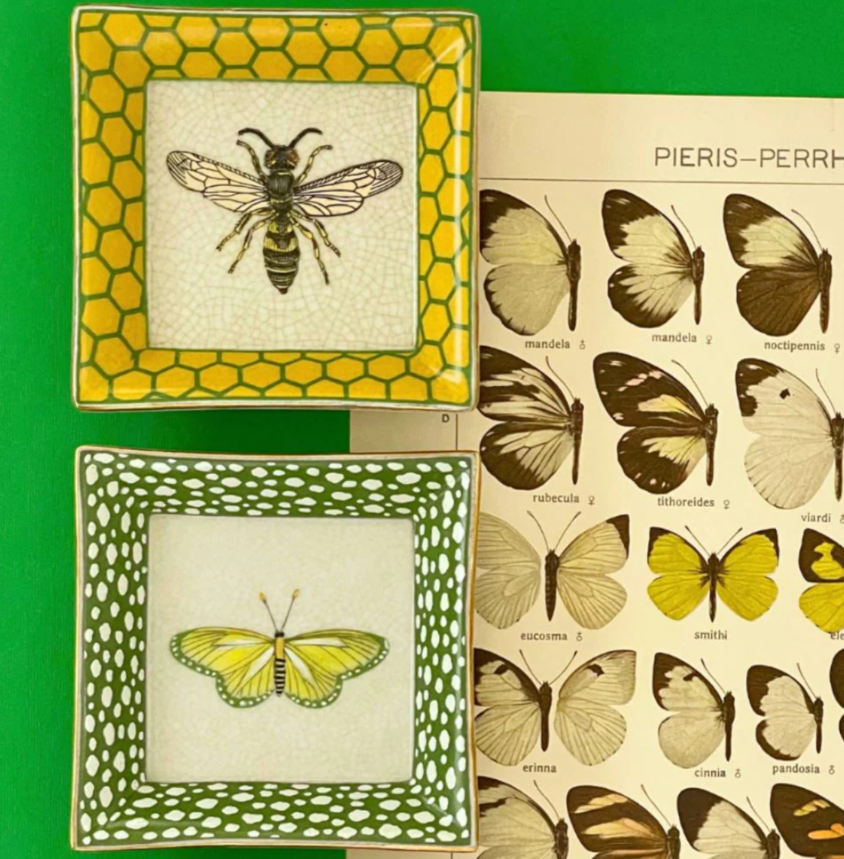 Jardiner Abeille Wall Plate - Creatively Active Minds