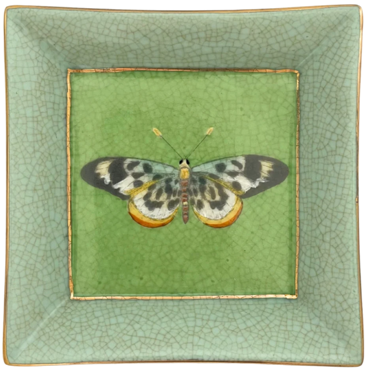 Exotico Wall Plate Mariposa - Creatively Active Minds