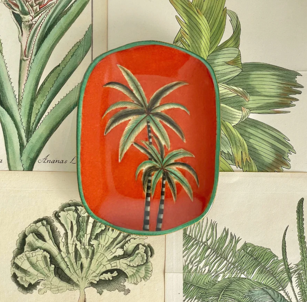 Museo Savon Dish Palma - Creatively Active Minds