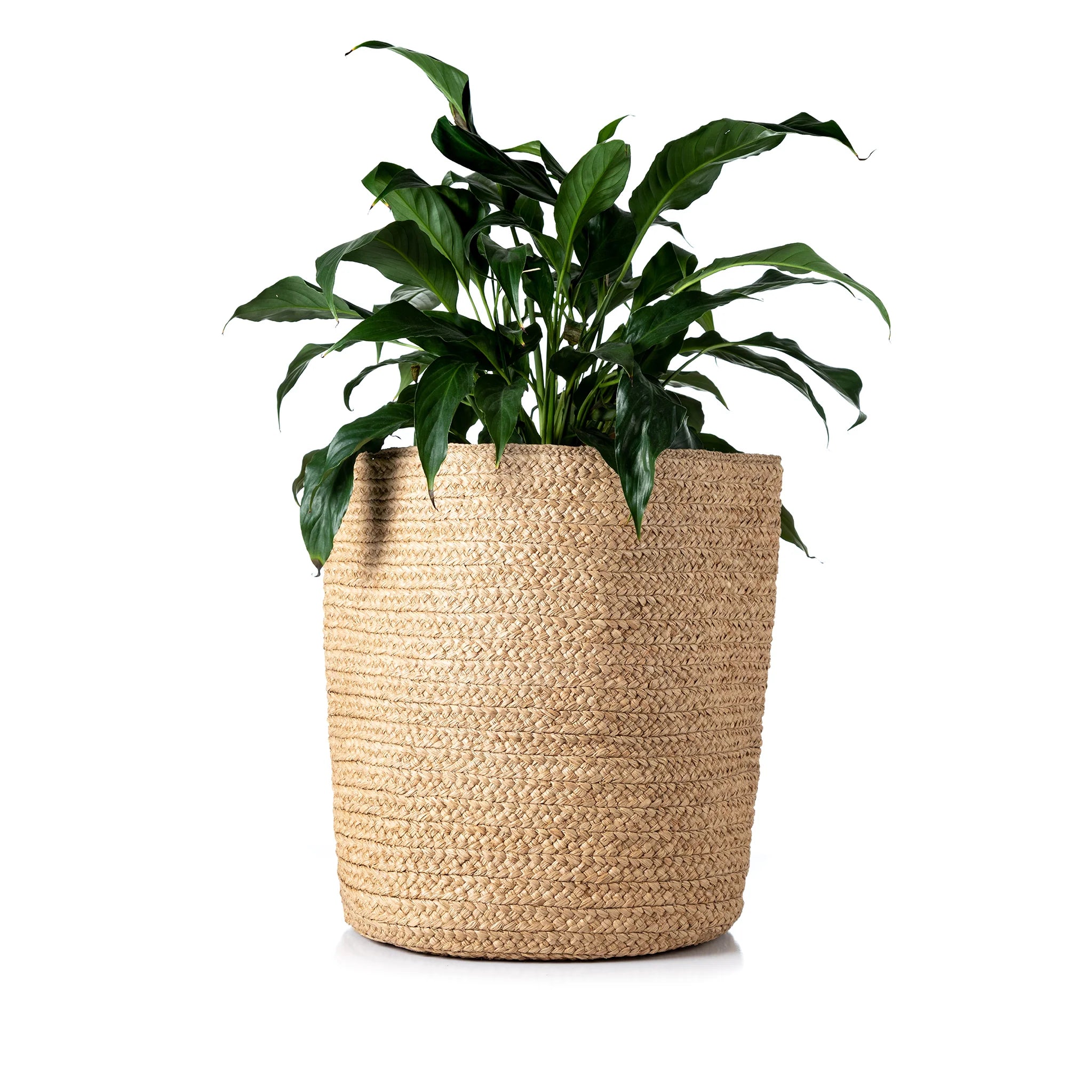 Taly Planter Natural - Tanora