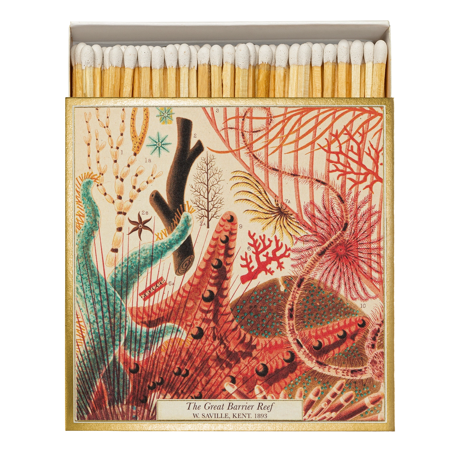 Great Barrier Reef Matches