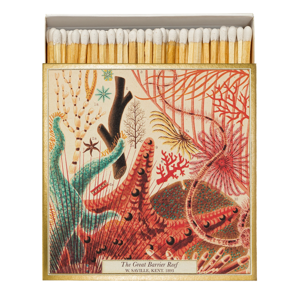 Great Barrier Reef Matches