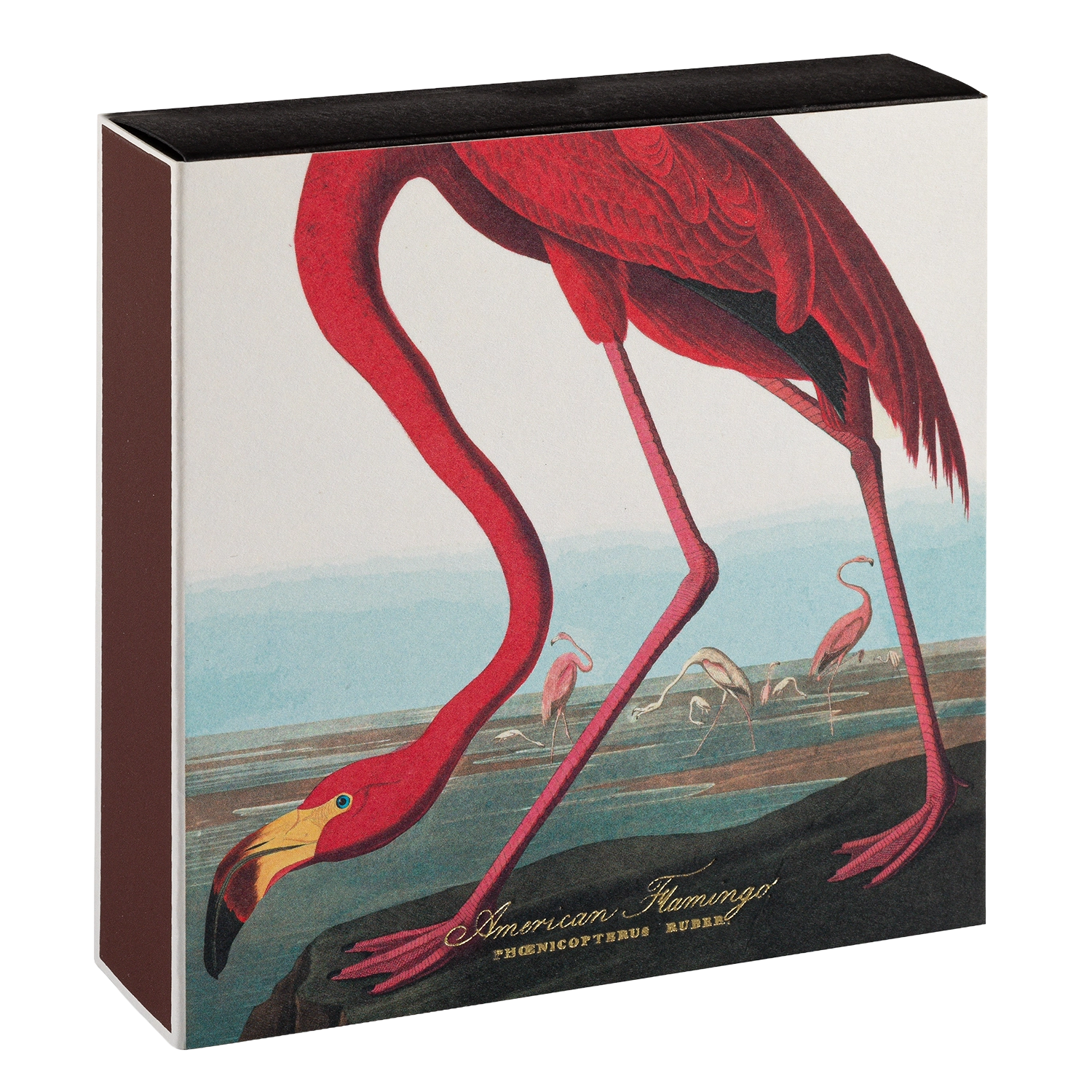 American Flamingo Matches