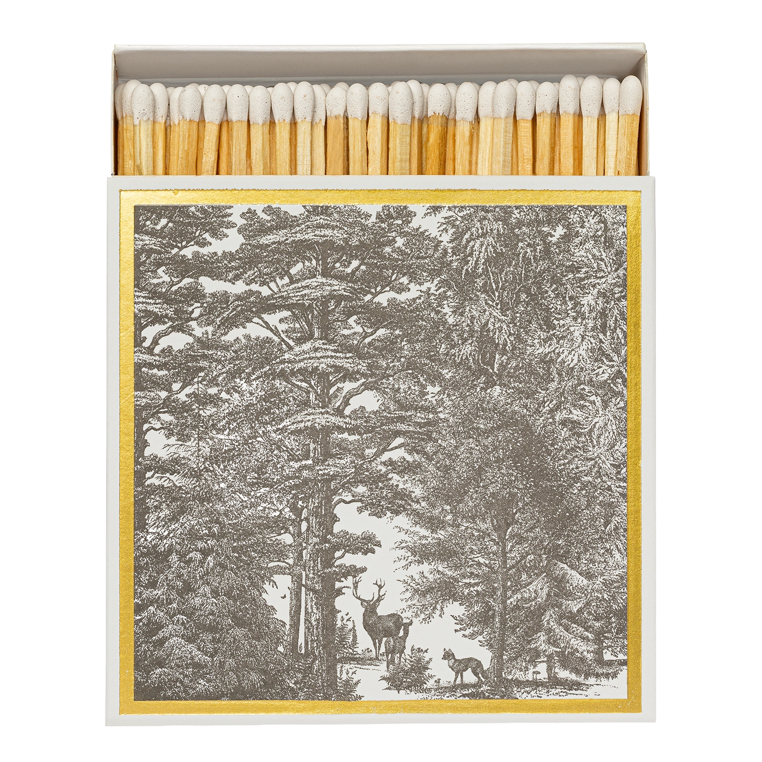 Enchanted Forest Matches