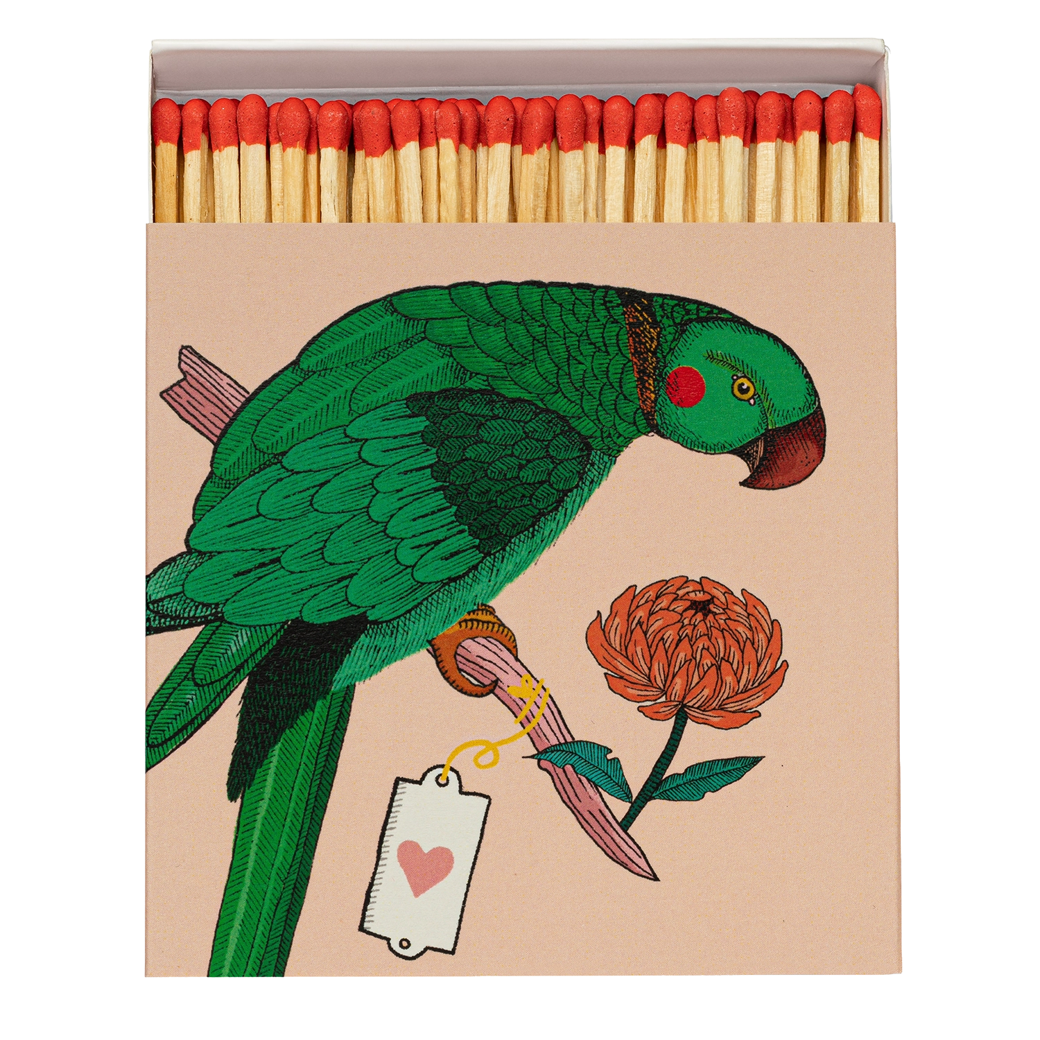 Parrot Matches