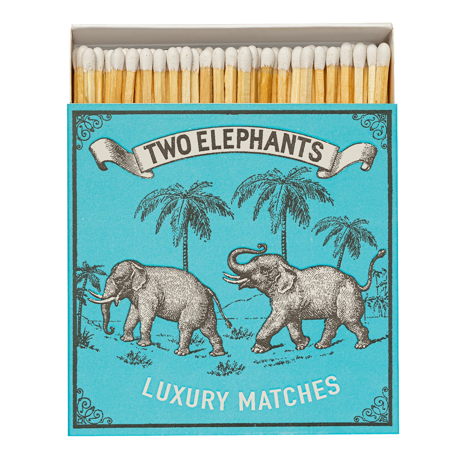 Two Elephants