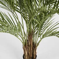 Palm Tree 2m