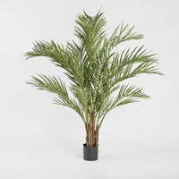 Palm Tree 2m