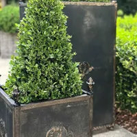 Estate Footed Iron Planters