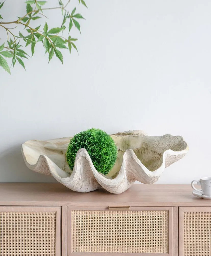 Giant Clam Sculpture Natural