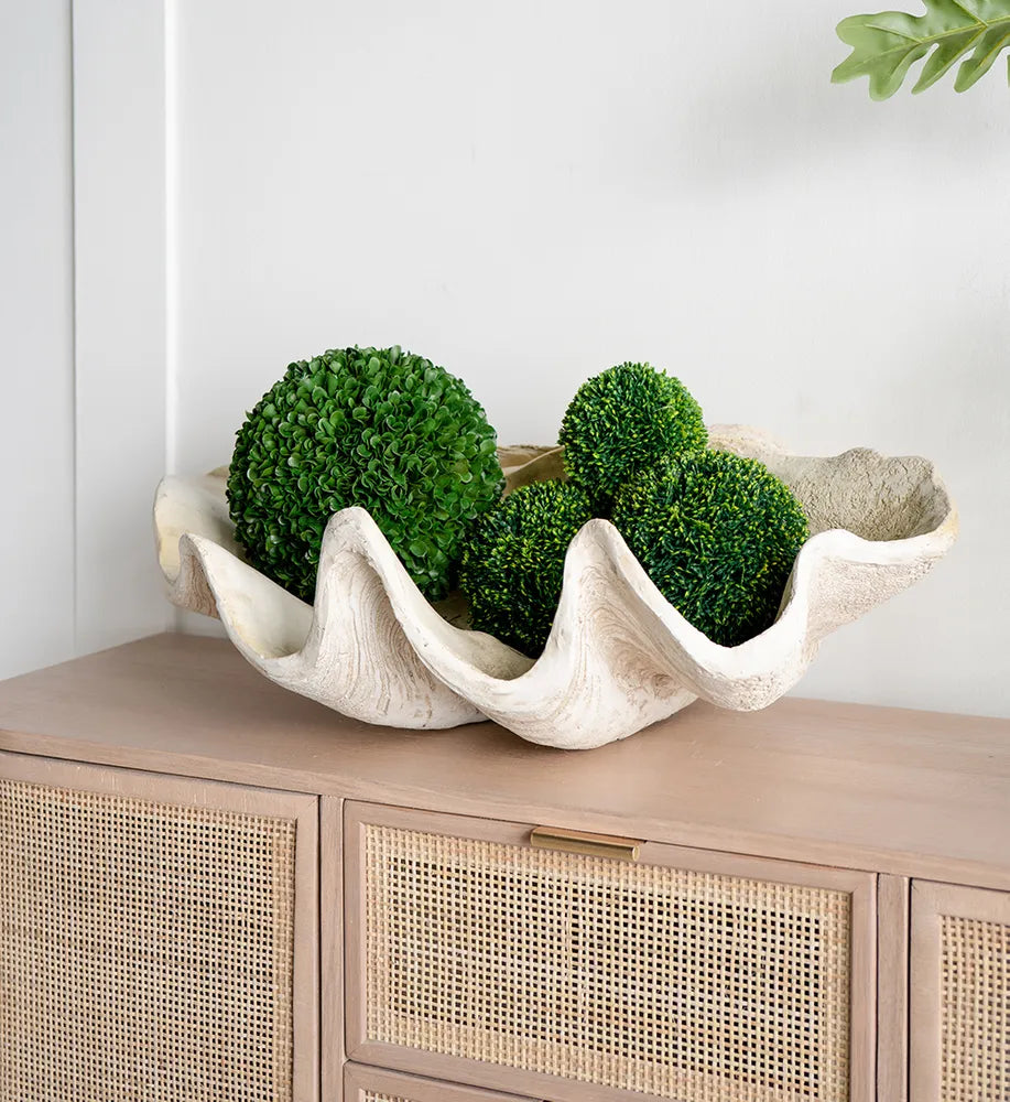 Giant Clam Sculpture Natural