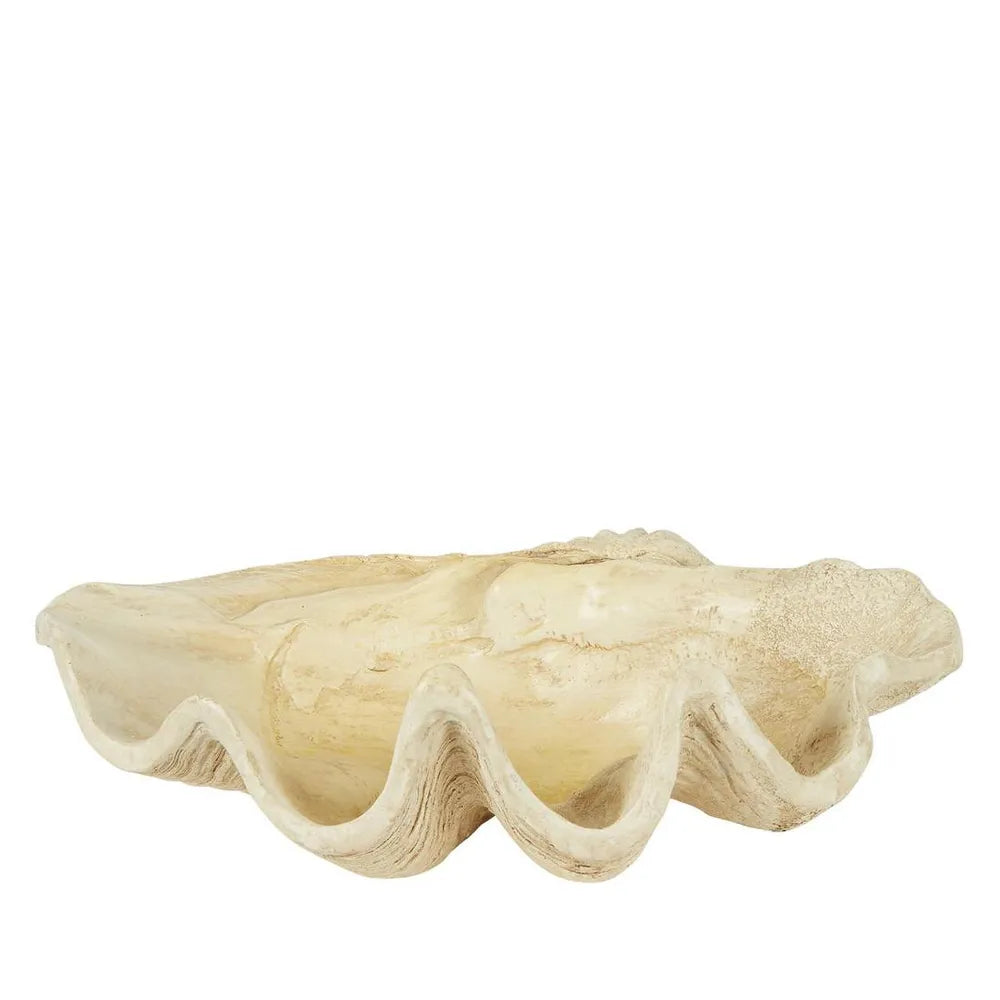 Giant Clam Sculpture Natural