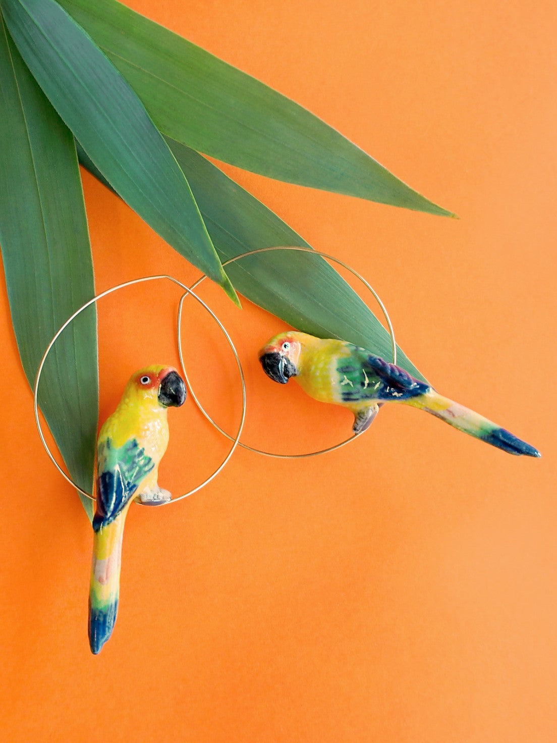 Sun Parrot Earrings