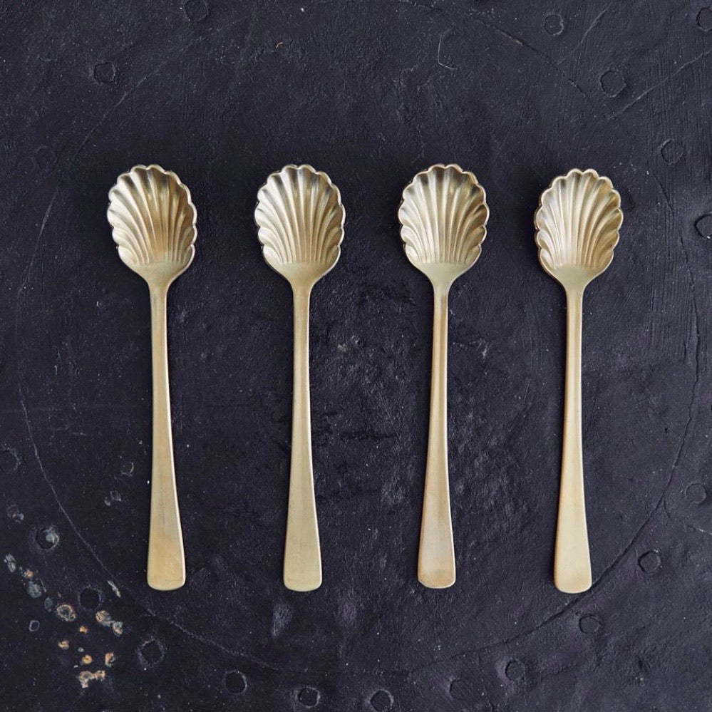 Stainless Steel Clam Shell set of 4